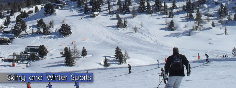 Skiing and Winter Sports